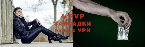 твердый Верея