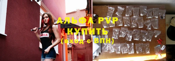 таблы Бородино