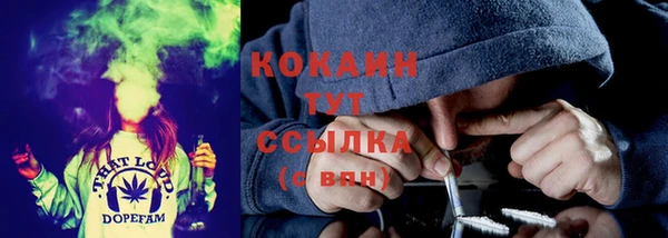 твердый Верея