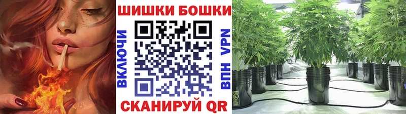 МАРИХУАНА семена  OMG как войти  Горячеводский 